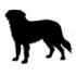 Dogs Welcome
